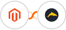 Adobe Commerce (Magento) + Ezekia Integration