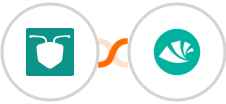 AntForms + Alegra Integration