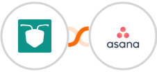 AntForms + Asana Integration