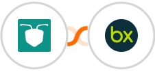 AntForms + bexio Integration