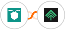 AntForms + Bumpups Integration