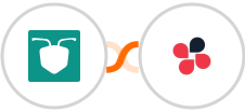 AntForms + Chatwork Integration