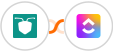 AntForms + ClickUp Integration