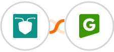 AntForms + GREEN-API (In Review) Integration