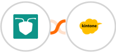 AntForms + Kintone Integration