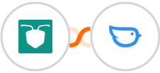 AntForms + Moneybird Integration