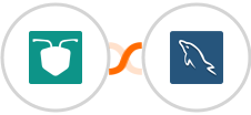 AntForms + MySQL Integration