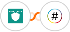 AntForms + NationBuilder Integration