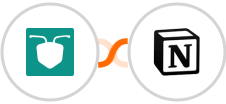 AntForms + Notion Integration
