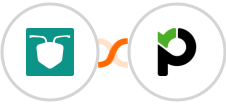 AntForms + Paymo Integration