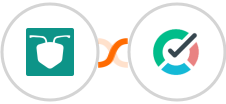 AntForms + TMetric Integration