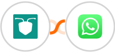 AntForms + WhatsApp Integration