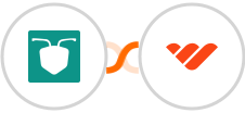 AntForms + Whop Integration