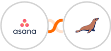 Asana + MariaDB Integration