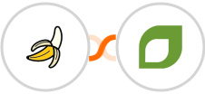 BananaShop + CoachAccountable Integration