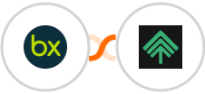 bexio + Bumpups Integration