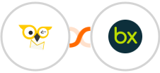 BirdSend + bexio Integration