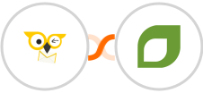 BirdSend + CoachAccountable Integration