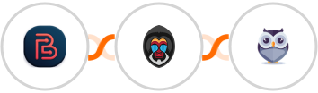 Bit Form + Mandrill + Chatforma Integration