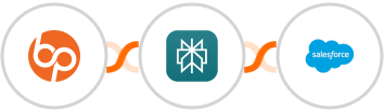 BrandPros + Perplexity AI + Salesforce Integration