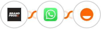BrandPros + WhatsApp + Rise Integration