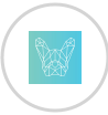 Bulldog-WP  + FluentCRM Integration