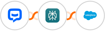Chatbot + Perplexity AI + Salesforce Integration