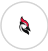 Chatway + Woodpecker.co Integration