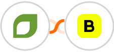CoachAccountable + Boomerangme Integration