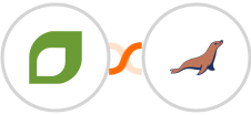 CoachAccountable + MariaDB Integration