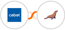 Cobot + MariaDB Integration