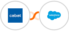 Cobot + Salesforce Integration