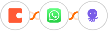 Coda + WhatsApp + EmailOctopus Integration