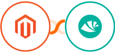 Adobe Commerce (Magento) + Alegra Integration