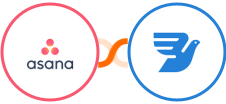 Asana + MessageBird Integration