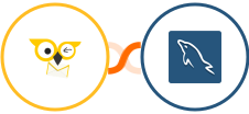 BirdSend + MySQL Integration