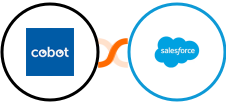 Cobot + Salesforce Integration