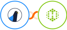 Delivra + Hexometer Integration