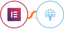 Elementor Forms + You Need A Budget (YNAB) Integration