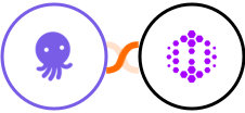 EmailOctopus + Hexomatic Integration