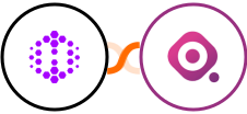 Hexomatic + Marquiz Integration