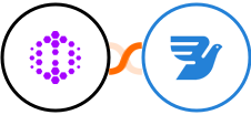 Hexomatic + MessageBird Integration