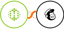 Hexometer + Mailchimp Integration