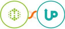 Hexometer + UpViral Integration