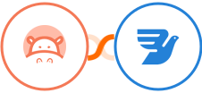 Hippo Video + MessageBird Integration