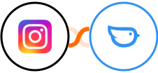 Instagram for business + Moneybird Integration