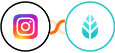 Instagram for business + MoreApp Integration