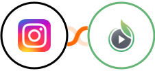 Instagram for business + SproutVideo Integration
