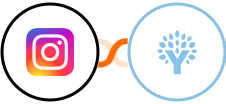 Instagram for business + You Need A Budget (YNAB) Integration