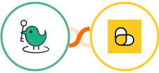 KeyNest + ScrapingBee Integration